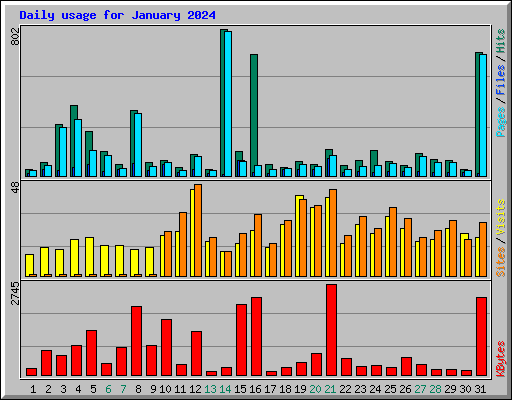 Daily usage for January 2024