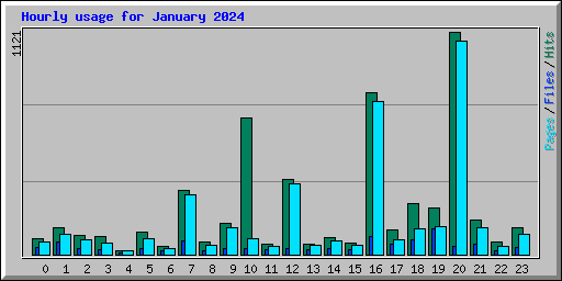 Hourly usage for January 2024