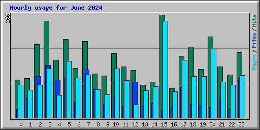 Hourly usage for June 2024