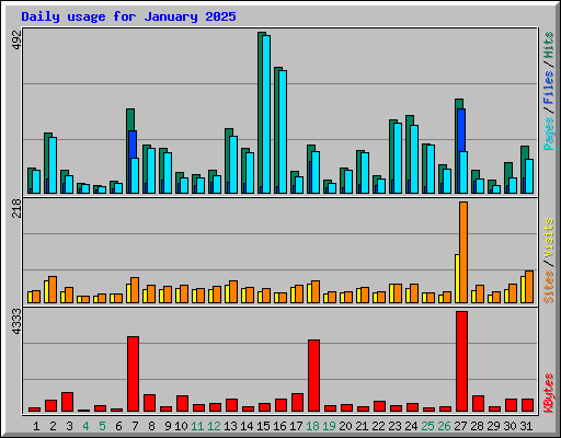 Daily usage for January 2025