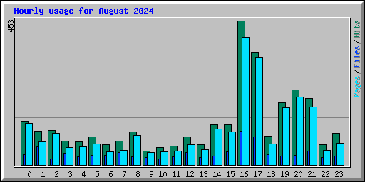 Hourly usage for August 2024
