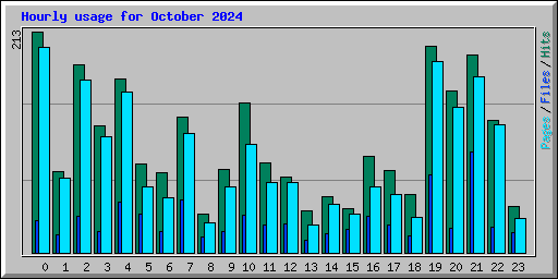 Hourly usage for October 2024