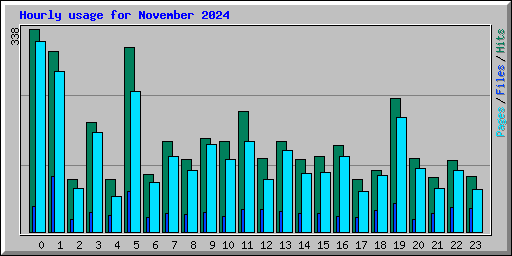 Hourly usage for November 2024