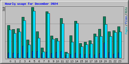 Hourly usage for December 2024
