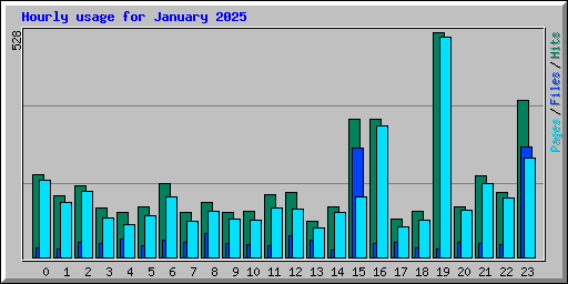 Hourly usage for January 2025