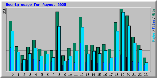 Hourly usage for August 2025