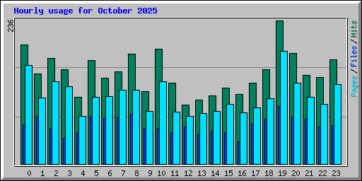 Hourly usage for October 2025